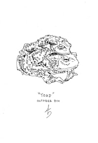 a drawing of two frogs on top of each other